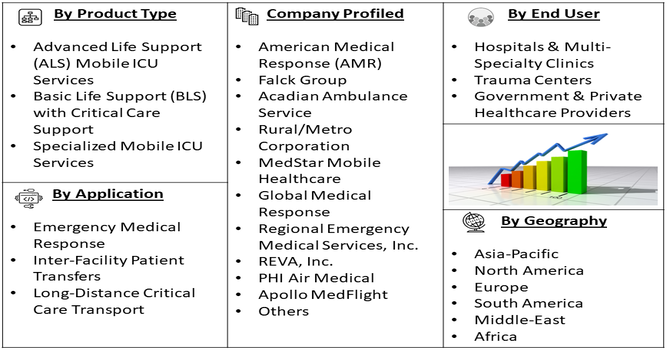 Commercial Mobile Intensive Care Unit Service Market Segment