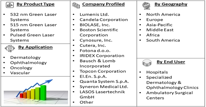 Green Laser Therapy System Market Segment