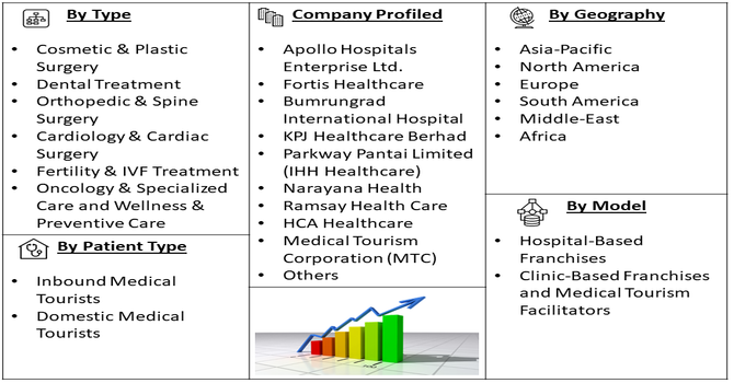 Medical Tourism Franchise Market Segment