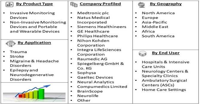 Neurology Patient Monitoring Market Segment