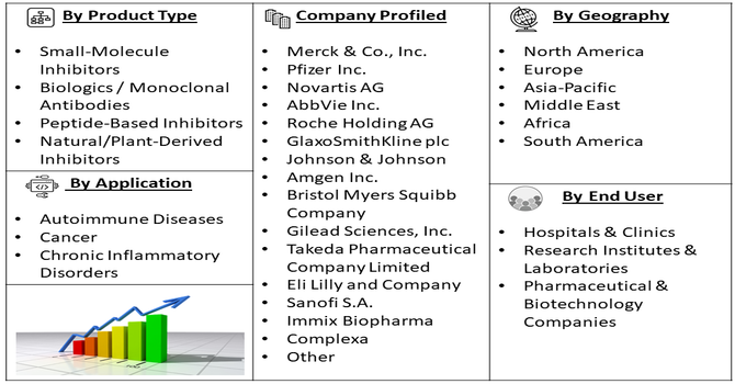 Nuclear Factor Kappa-Light-Chain-Enhancer of Activated B Cells Inhibitor Market Segment
