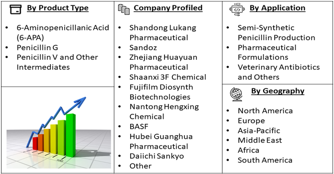 Penicillin Intermediates Market segment