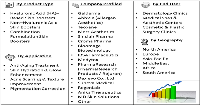Skin Boosters Market Segment
