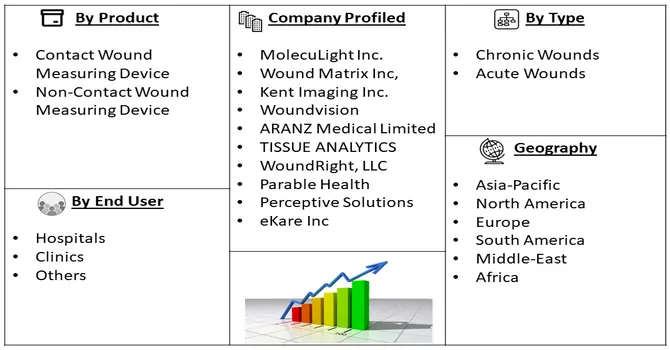 Digital Wound Measurement Devices Market Segment