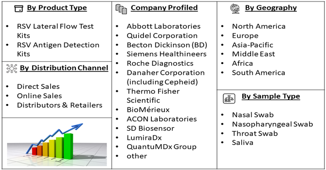 Respiratory Syncytial Virus Lateral Flow Test Market Segment