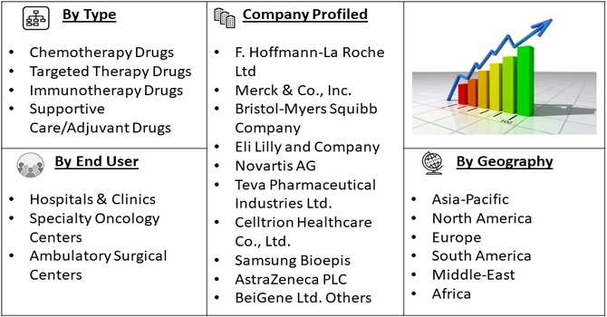 Stomach Cancer Drug Therapy Market segment