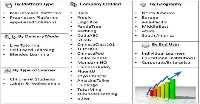 Online Chinese Tutoring Platform Market Segment