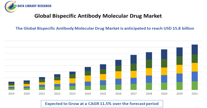 Bispecific Antibody Molecular Drug Market
