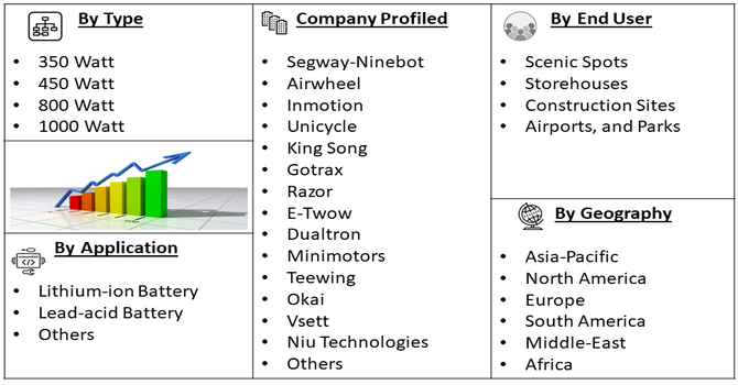 Intelligent Electric Dual-wheel Balance Car Market segment