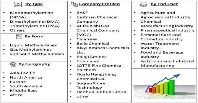 Methylamine Compounds Market Segment