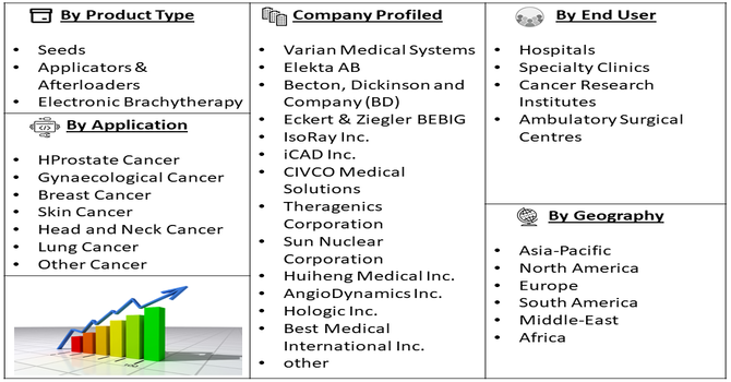 Brachytherapy Market Segment