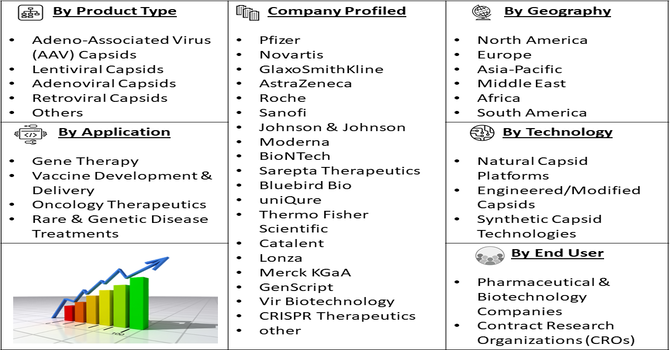 Viral Capsid Development Market Segmentation