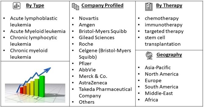 Leukemia Treatment Market Segment