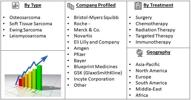 Sarcoma Treatment Market Segement