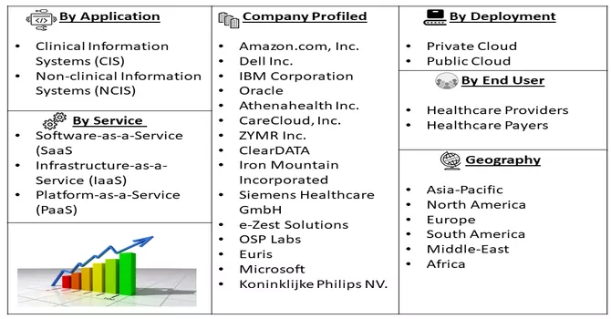 Healthcare Cloud Computing Market Seg