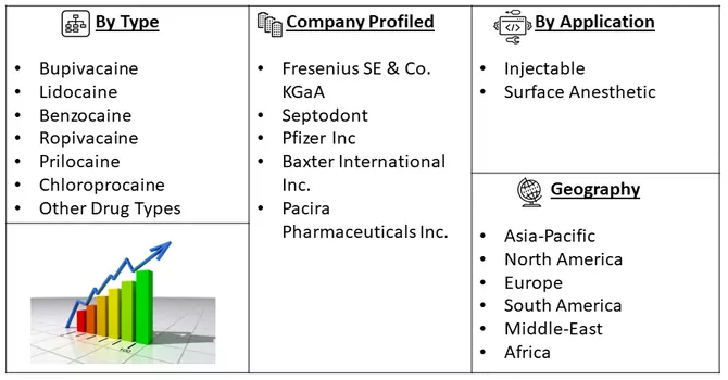 Local Anesthetic Market Seg