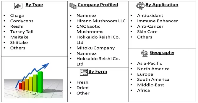 Medicinal Mushroom Market Segmentation