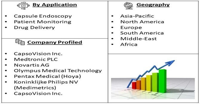 Smart Pills Drug Delivery Market Segment