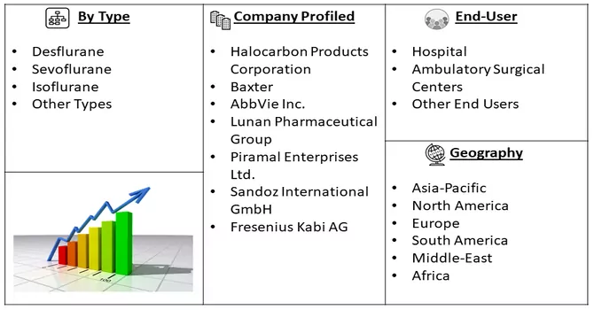 Inhalation Anesthetic Market segmentation