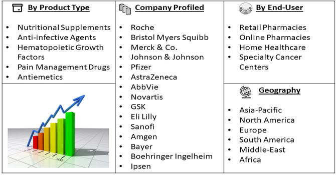 Cancer Supportive Care Treatment Market Segment