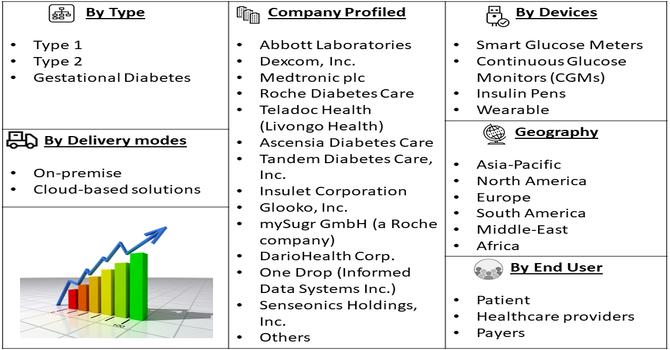 Diabetes Digital Health (DDH) Market Segment
