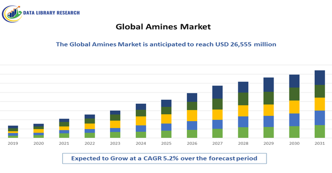 Amines Market 