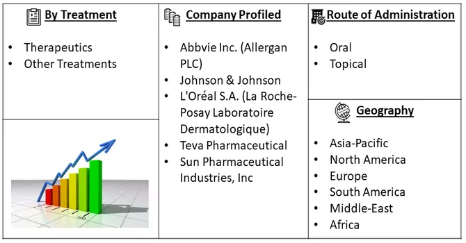 Acne Therapeutics Market Segmentation