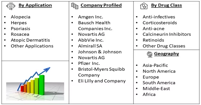 Dermatological Therapeutics Market Segmentation