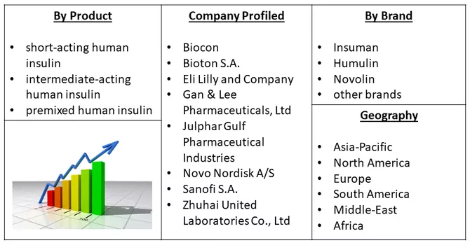 Recombinant Insulin Market Segmentation