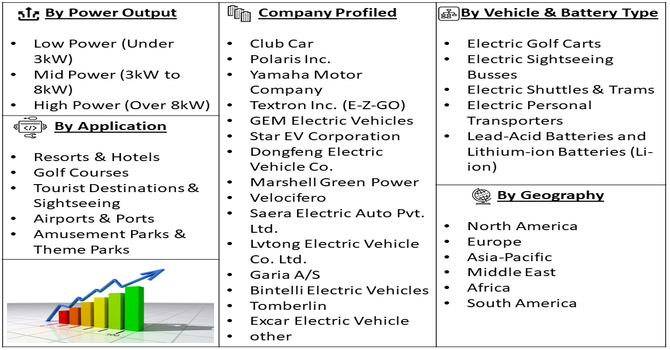 Electric Tourist Vehicle Market Segment
