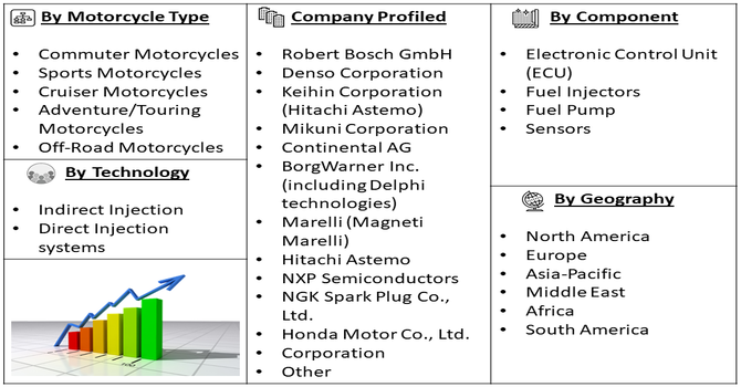 Electronic Fuel Injection Motorcycle Market Segment
