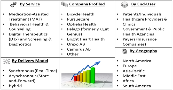 Online Opioid Addiction Treatment Market Segment