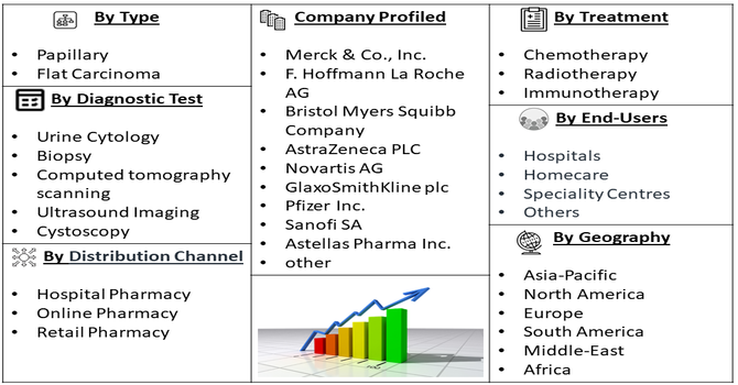 Urothelial Cancer Treatment Market Segment
