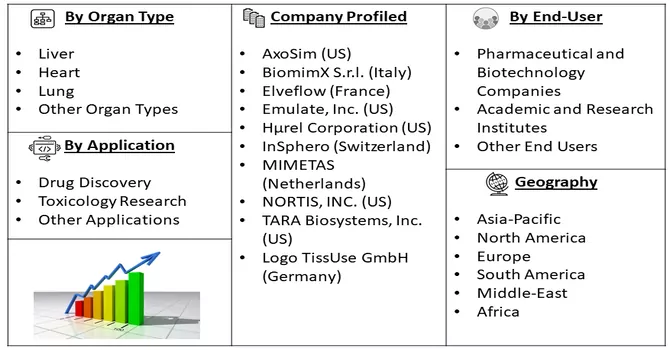 Organ-On-Chip Market Segmentation