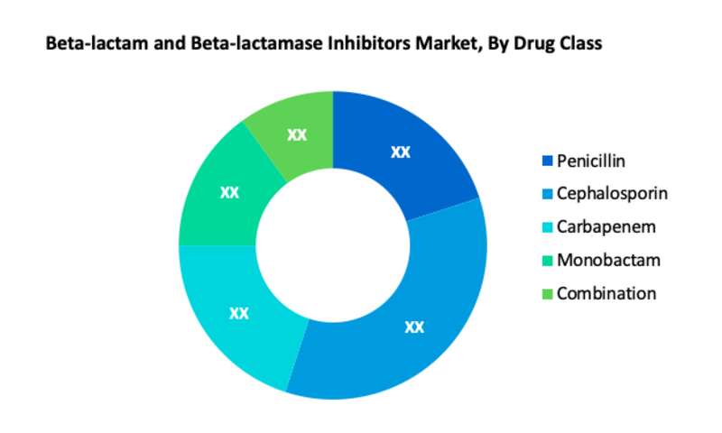 Beta-lactam and Beta-lactamase Inhibitors Market