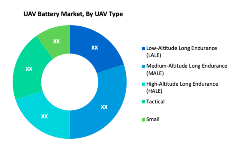 UAV Battery Market Segment