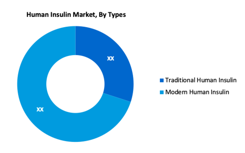 Human Insulin Market segment 