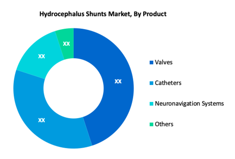 Hydrocephalus Shunts Market Segment