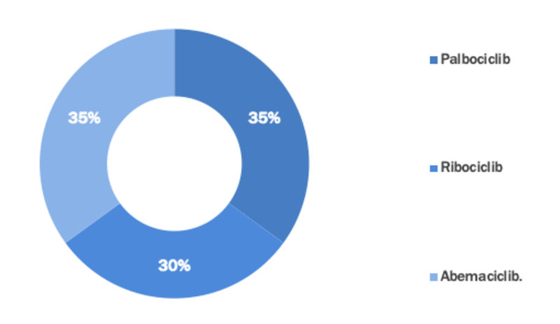 Cancer CDK Inhibitors Market Segment 