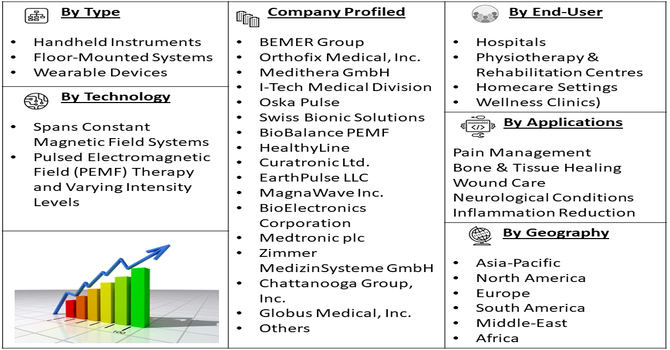 Laser Magnetic Field Therapy Market segment