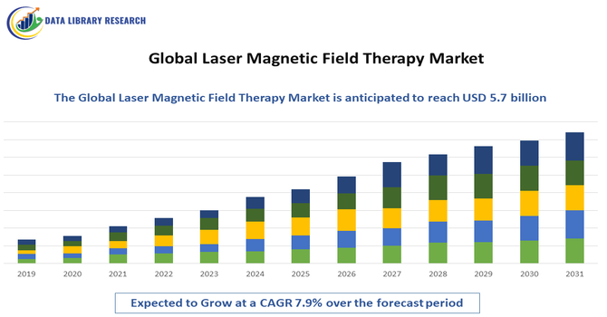 Laser Magnetic Field Therapy Market