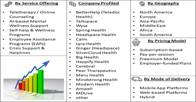 Overseas Mental Health Platform Market Segmentation