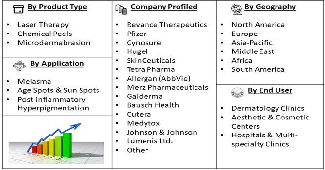 Hyperpigmentation Surgical Treatment Market Segment